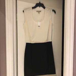 Banana Republic Black and White Mini Dress